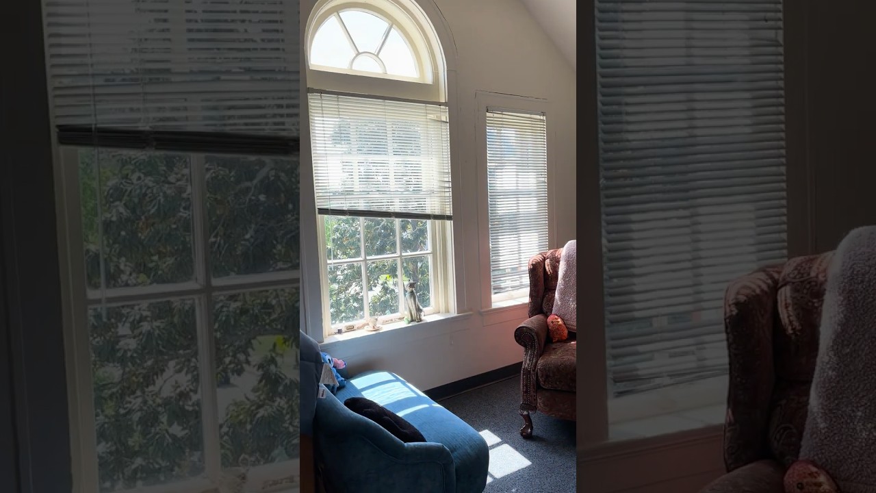 Maryville College Dorm Room Tour
