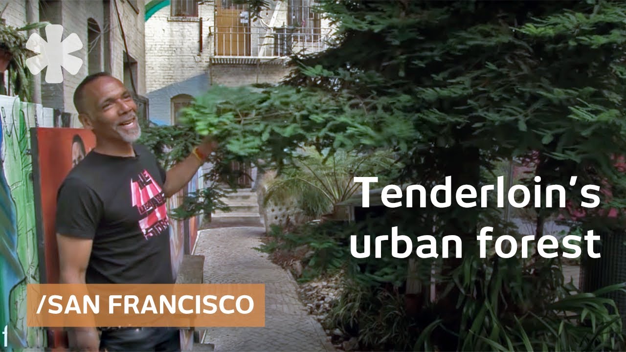 Urban forest erupts in San Francisco's Tenderloin