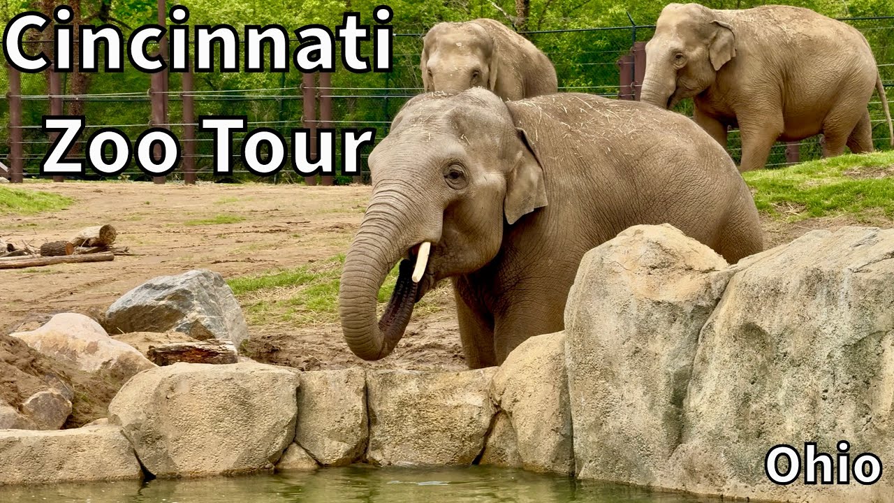 Cincinnati Zoo and Botanical Garden Tour - Cincinnati, Ohio - USA [4K]