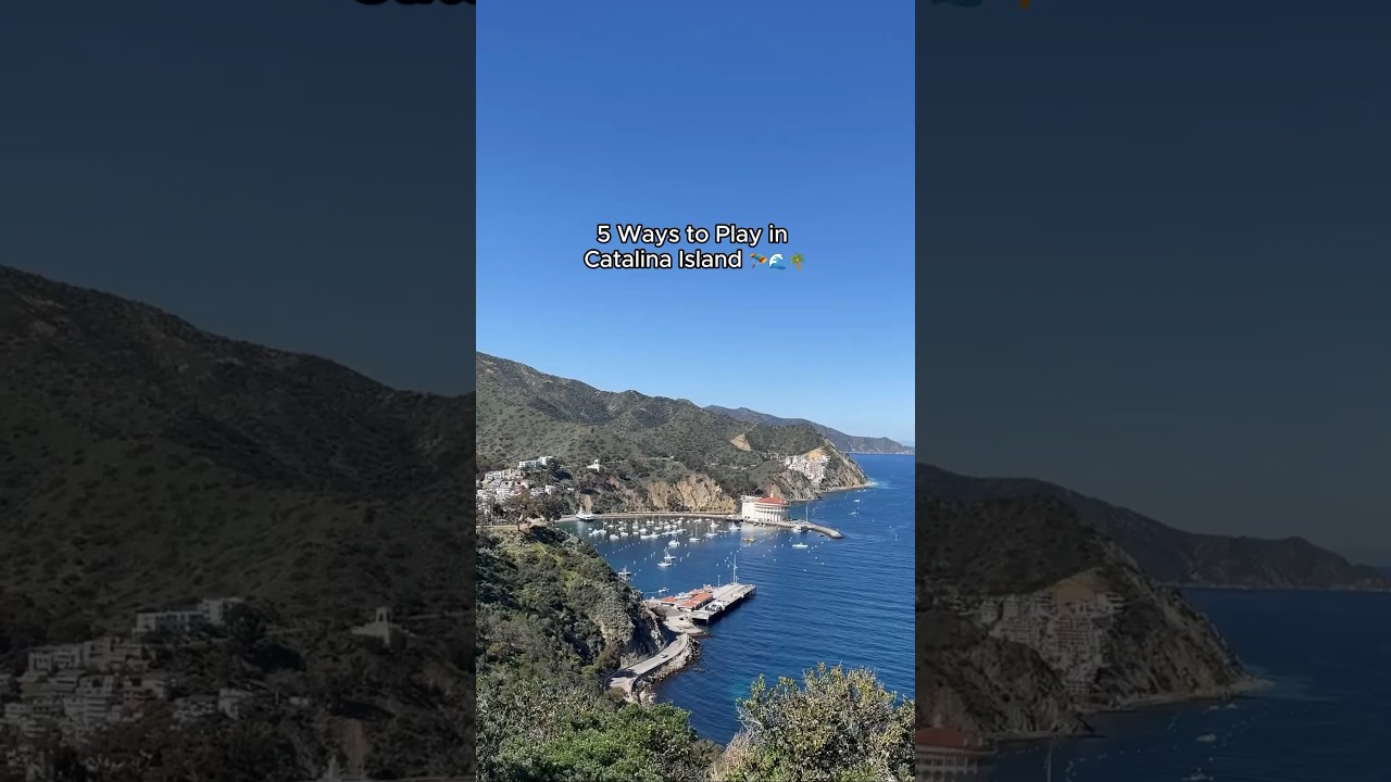 5 Fun Things to Do on Catalina Island, California (via lewildexplorer on IG) #shorts