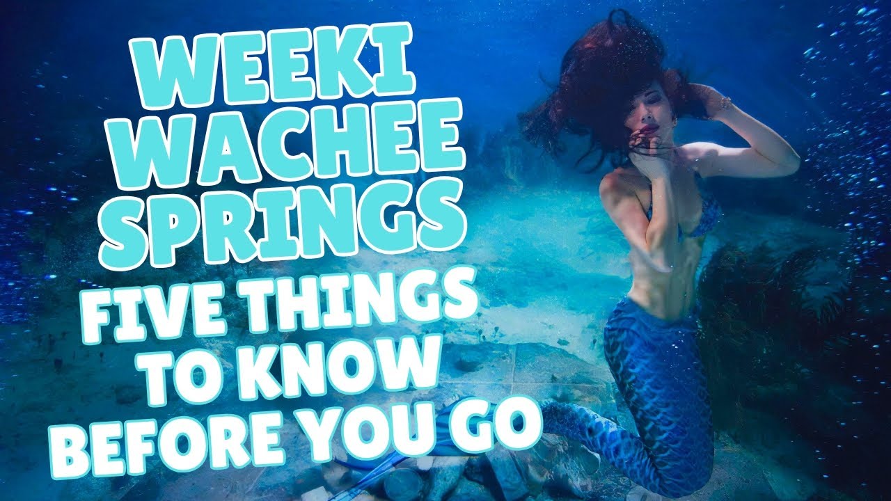 Weeki Wachee Springs: 5 Things to Know Before you Go! 🧜‍♀️