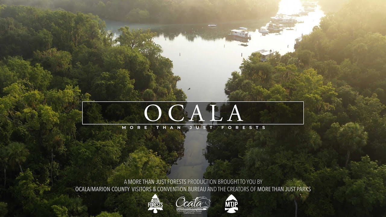 OCALA National Forest 8K Florida (Visually Stunning 3min Tour)