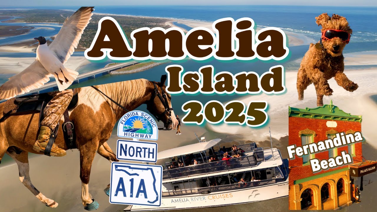 AMELIA ISLAND | Fernandina Beach, Cumberland Island, North Jacksonville Beaches