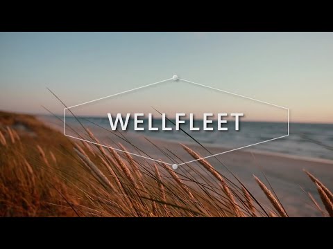 Meet Wellfleet, Cape Cod.
