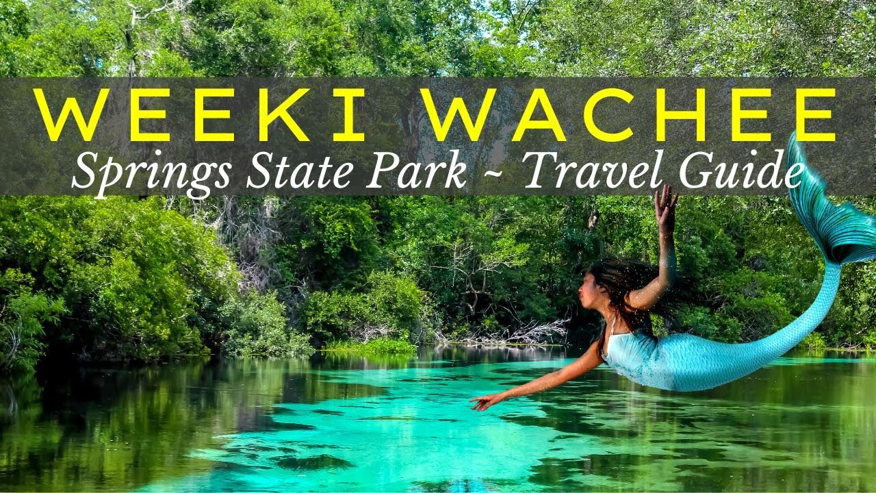 Weeki Wachee Springs State Park & Mermaid Show  | Travel Guide 🧜‍♀️
