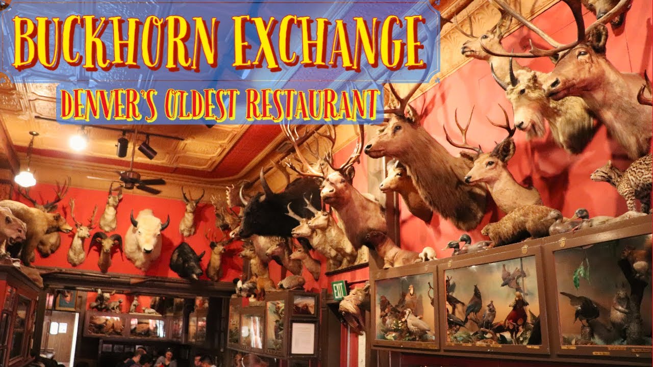 The Buckhorn Exchange - Denver's Oldest Restaurant with Wild West History and Taxidermy