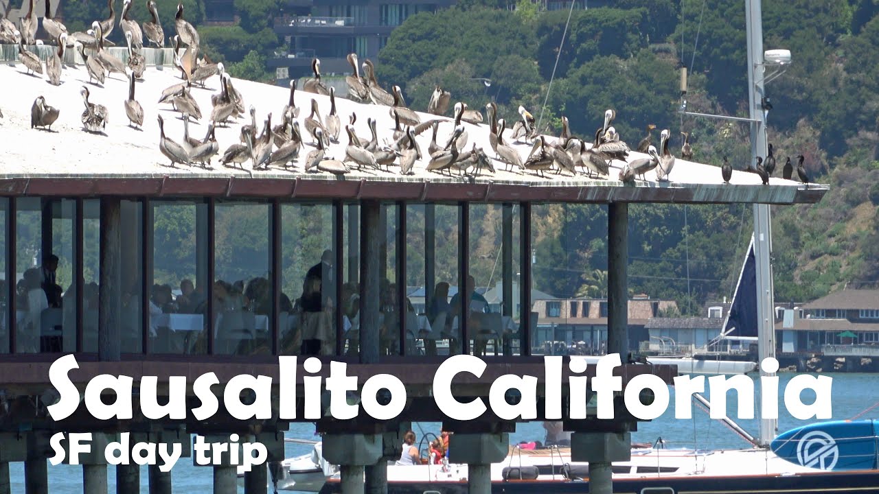 Sausalito , CA day trip from SF 🇺🇸 4K