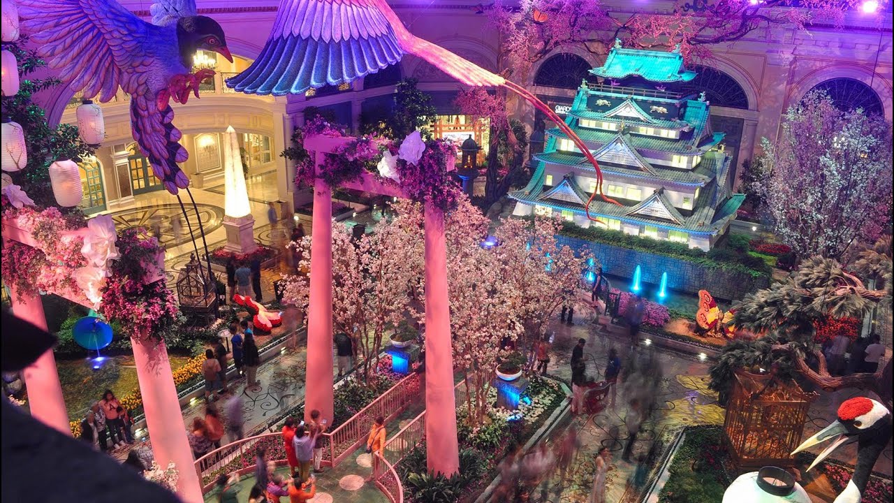 EarthCam Live: Bellagio Conservatory & Botanical Gardens (Las Vegas, NV)