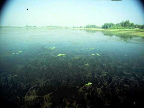 Dip Into Lakes: Natural History of Lake Winnebago