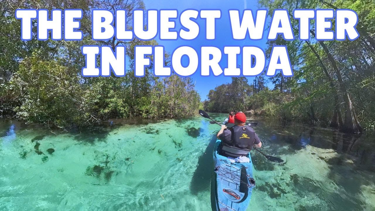 Is Kayaking the Weeki Wachee River Worth It? | FULL Review & Tips!
