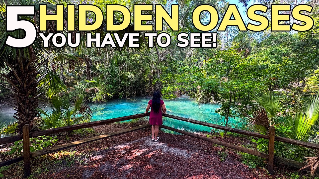 The 5 INCREDIBLE Springs of Ocala National Forest!