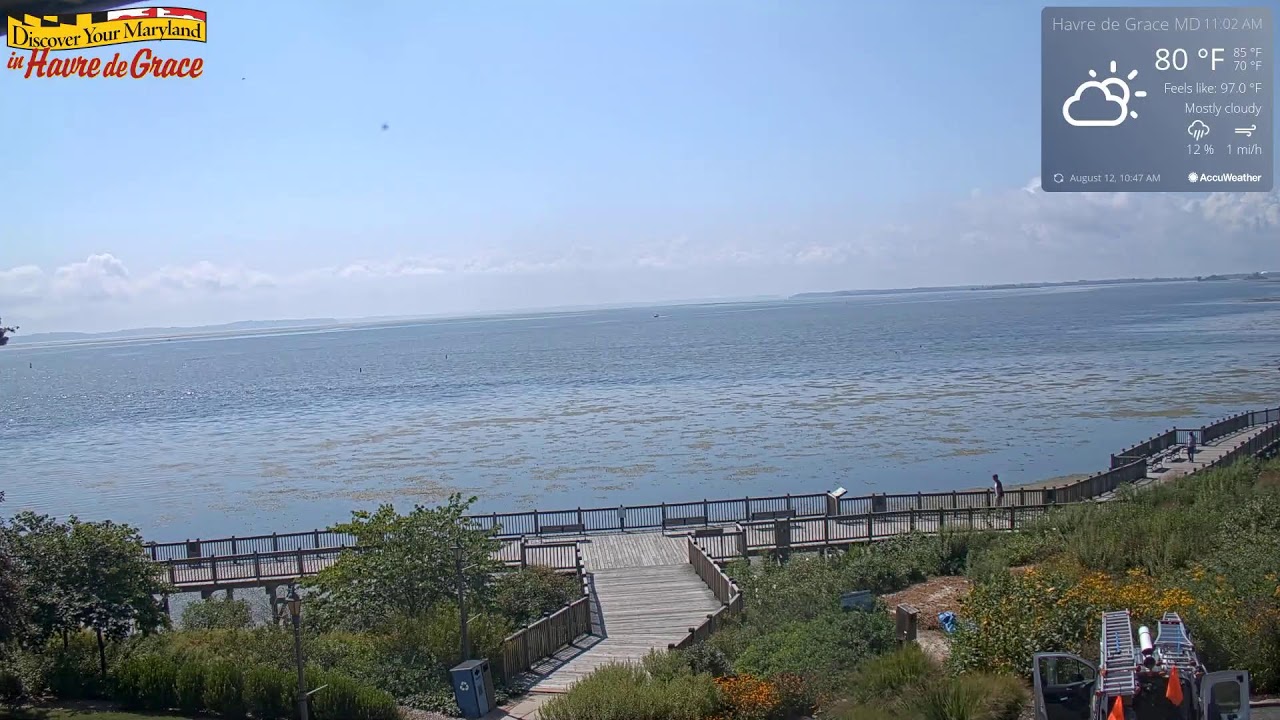 Decoy Cam - Havre de Grace Maryland