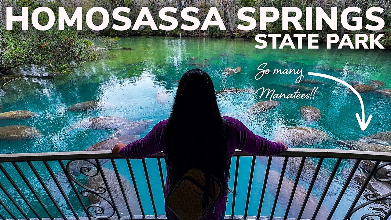 Homosassa Springs State Park: Another Incredible Manatee Refuge During Winter in Florida!