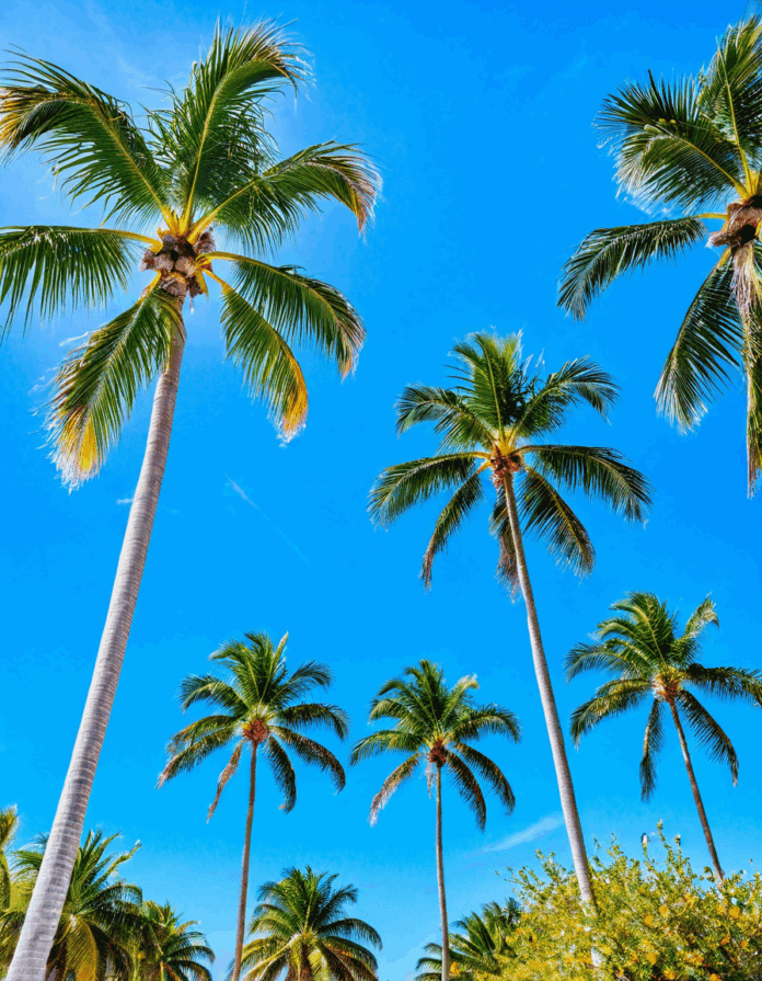 ft lauderdale weather
