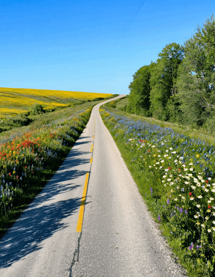 country road