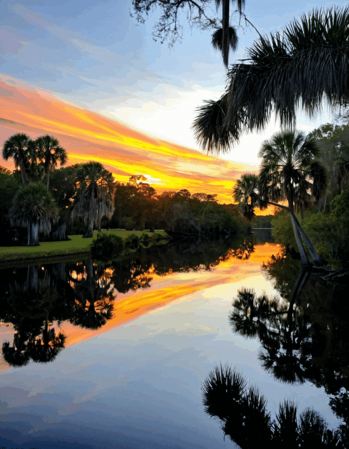 homosassa springs