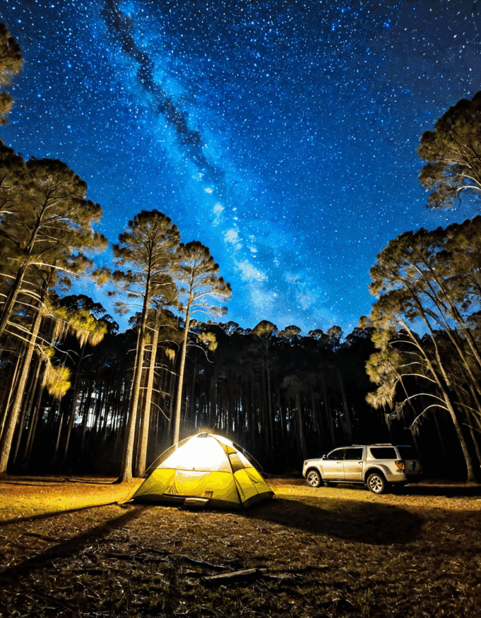 ocala national forest